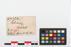 Etiketten zu Bronzegürtelhaken (NHMW-PRAE-024126)